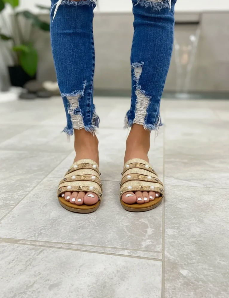 Modelo Terra Yute