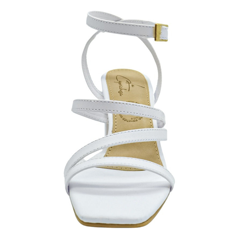 Modelo Morelia 8 cms