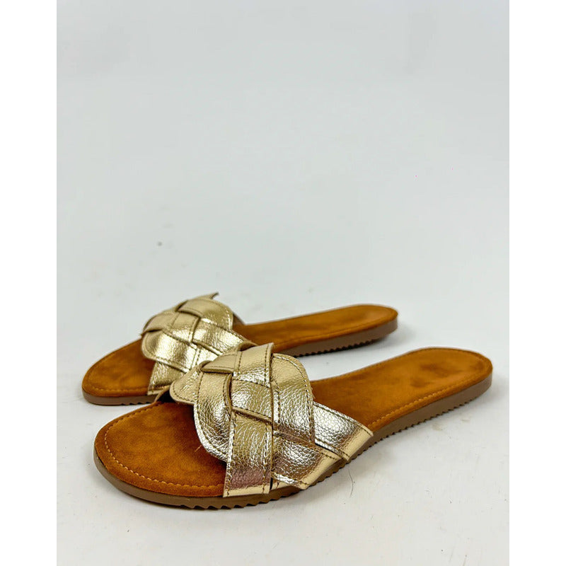 Modelo Taylor Dorado