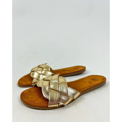 Modelo Taylor Dorado