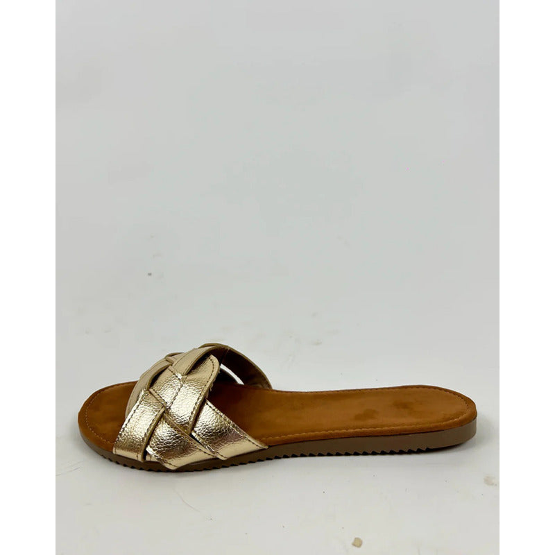 Modelo Taylor Dorado