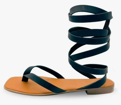 Modelo Gambia
