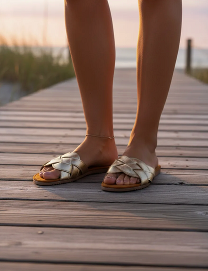 Modelo Taylor Dorado